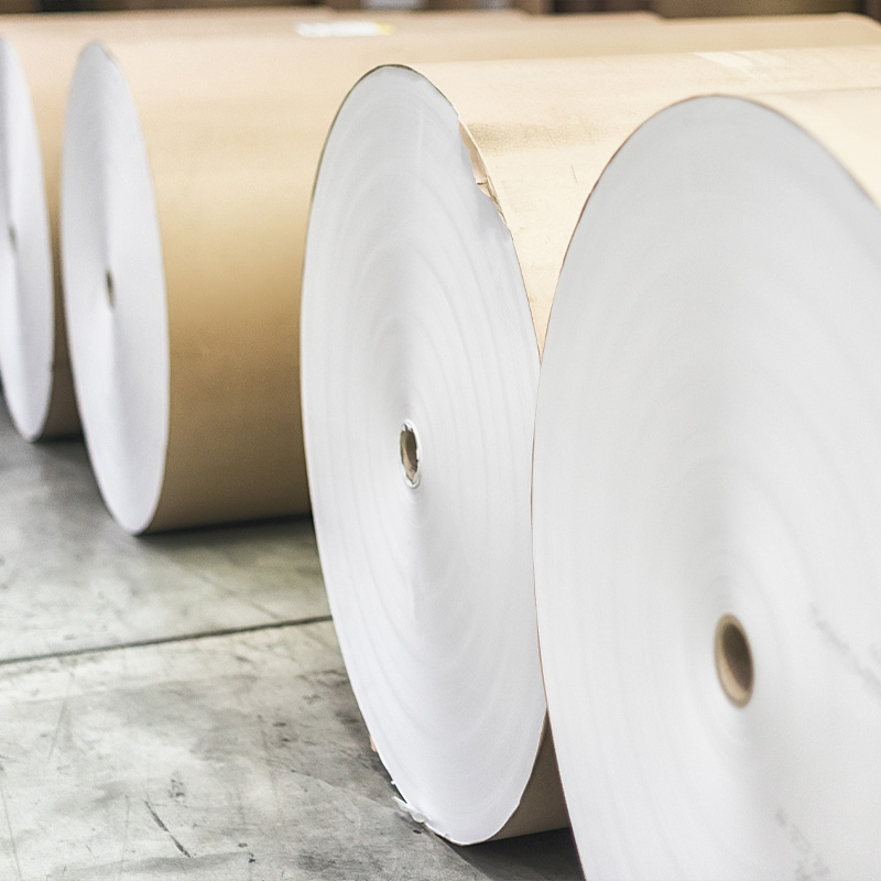 Filtrer les rouleaux de papier