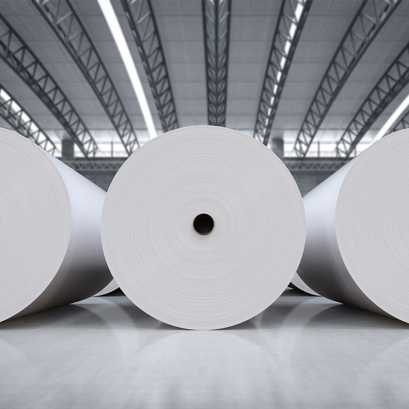 Rouleaux de papier sulfurisé et résistant à la graisse