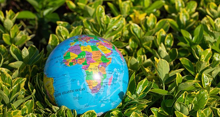 HANGZHOU RENMIN ECO-TECH CO., LTD.